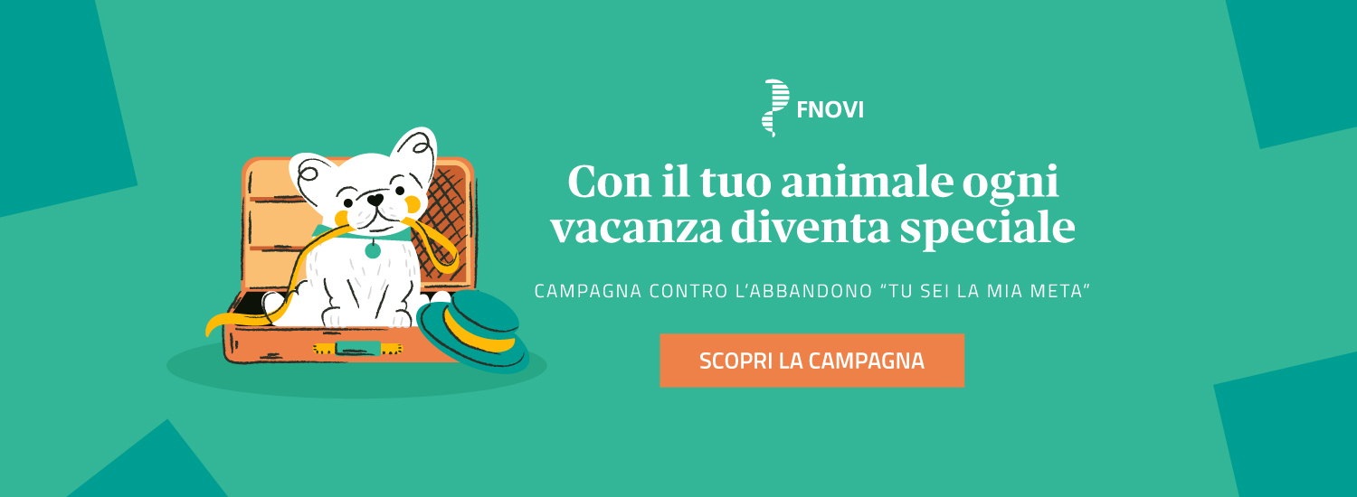 Campagna tu sei la mia meta