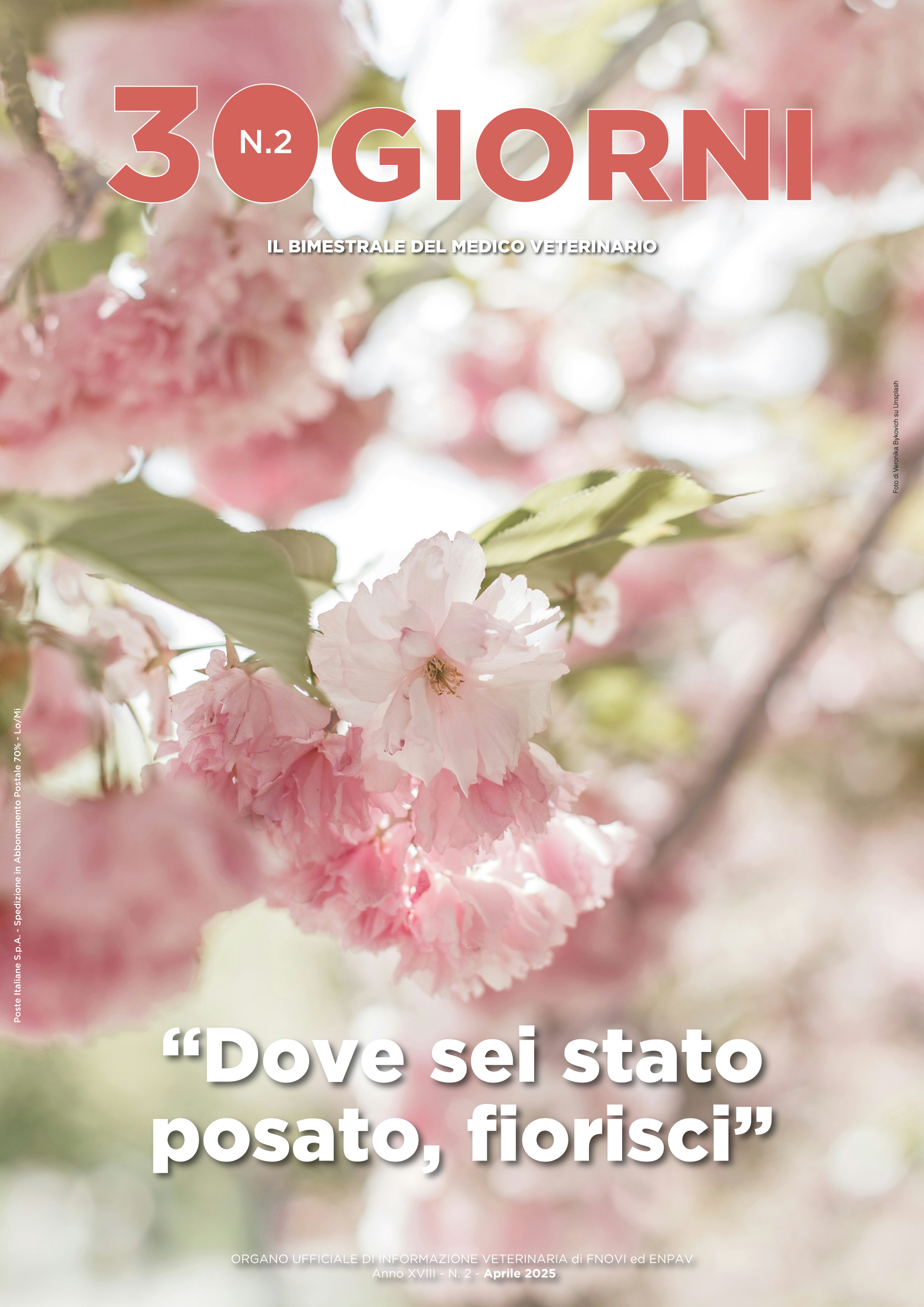 copertina 30giorni aprile 2025.jpg